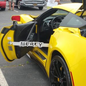 Corvette Front Door Props