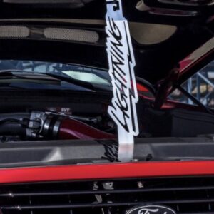 Ford F-150 Hood Prop