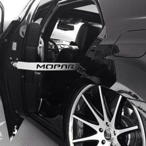 Chrysler 300 Rear Door Props